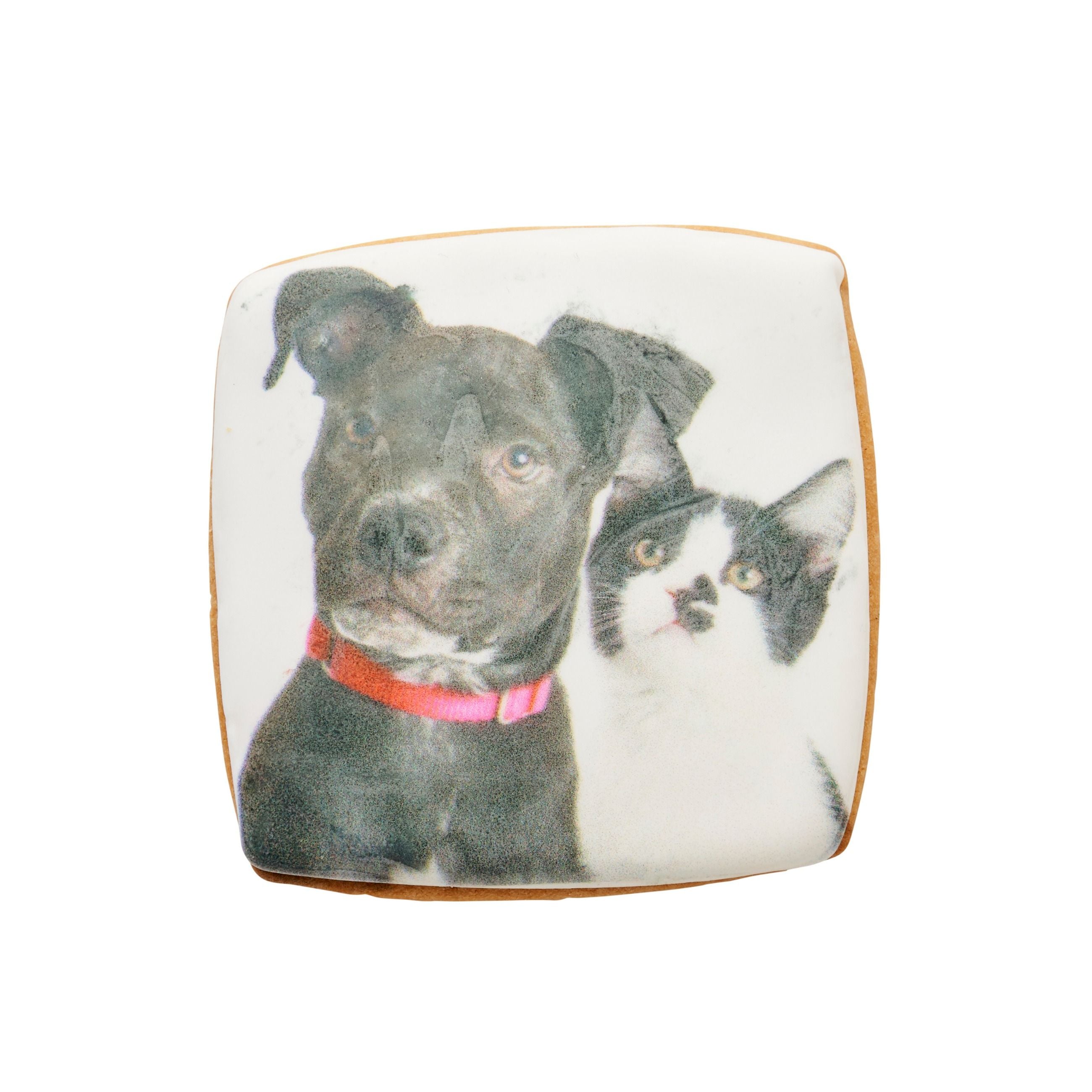 Square Photo Cookie