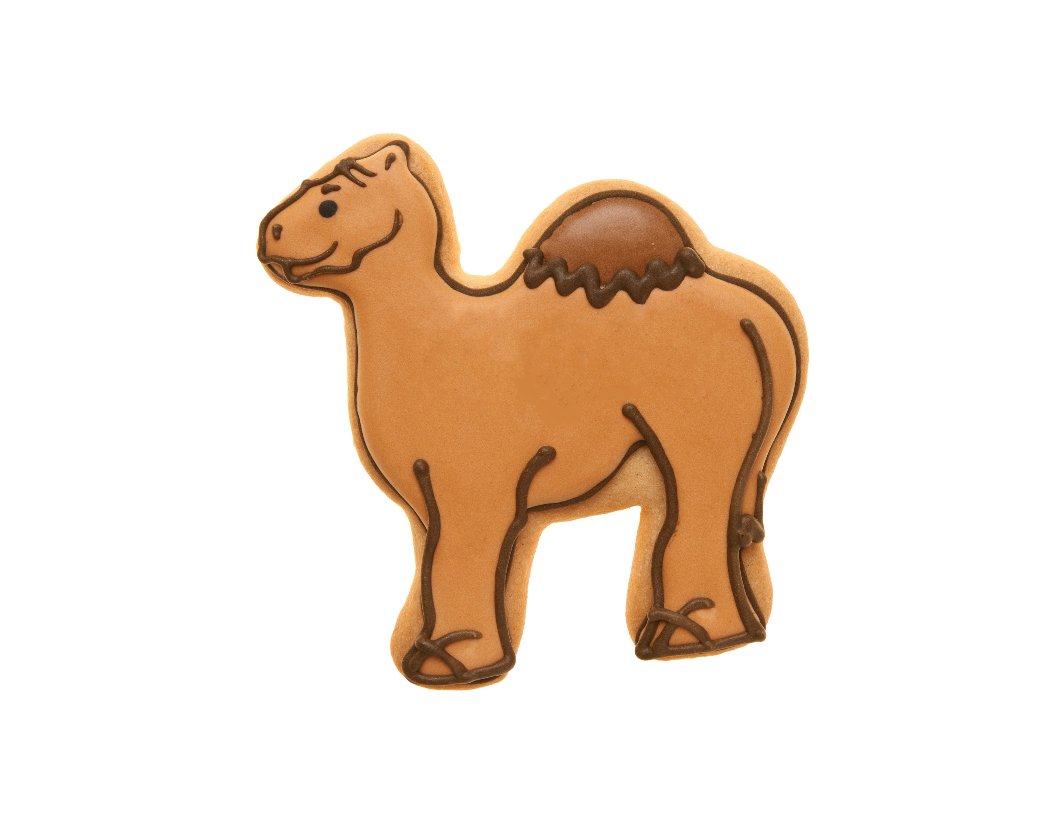 Custom Camel Party Favor Cookie