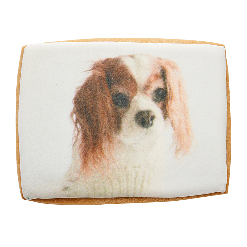 Cookie image