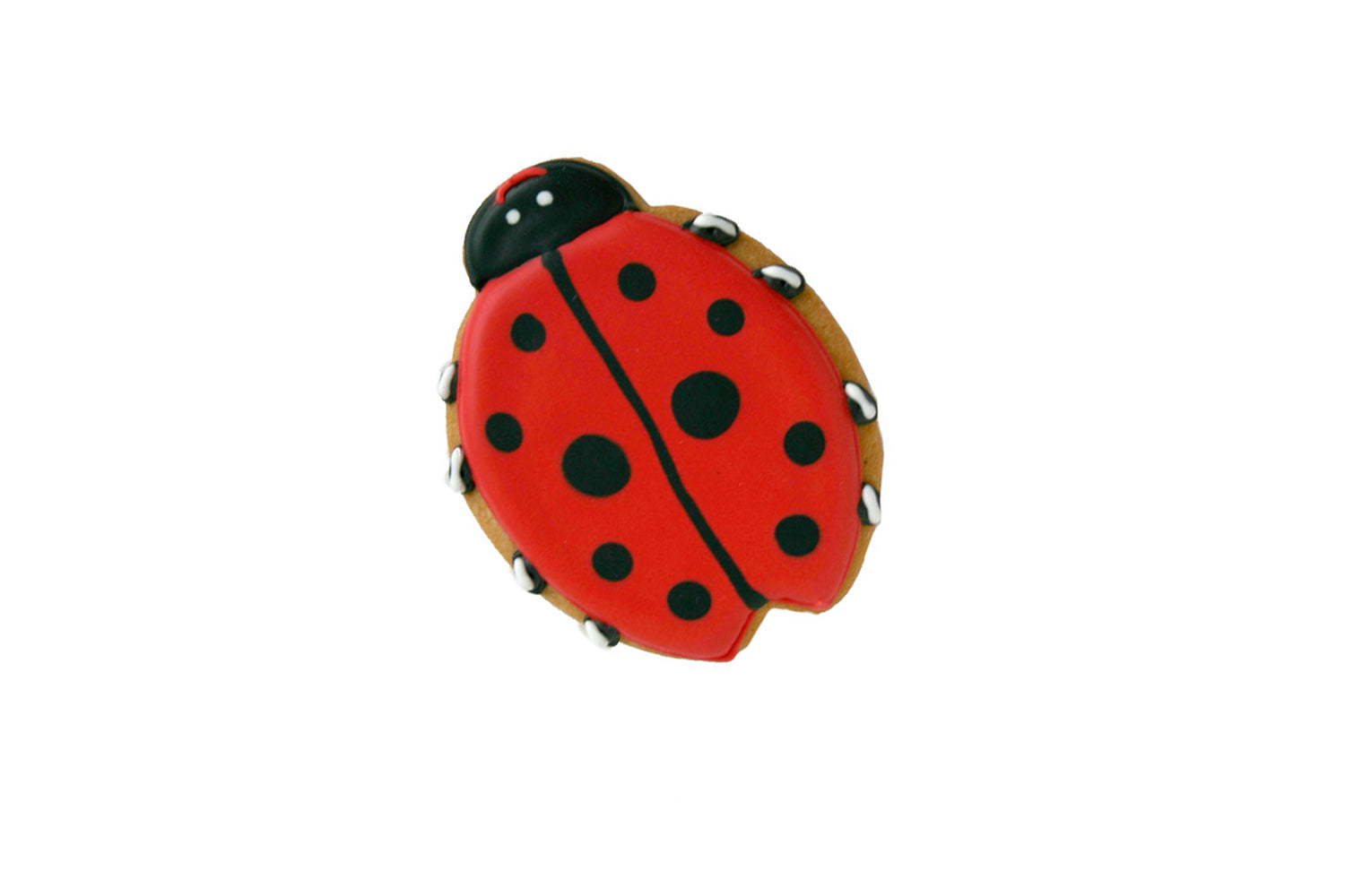 Image of hand iced lady bug cookie