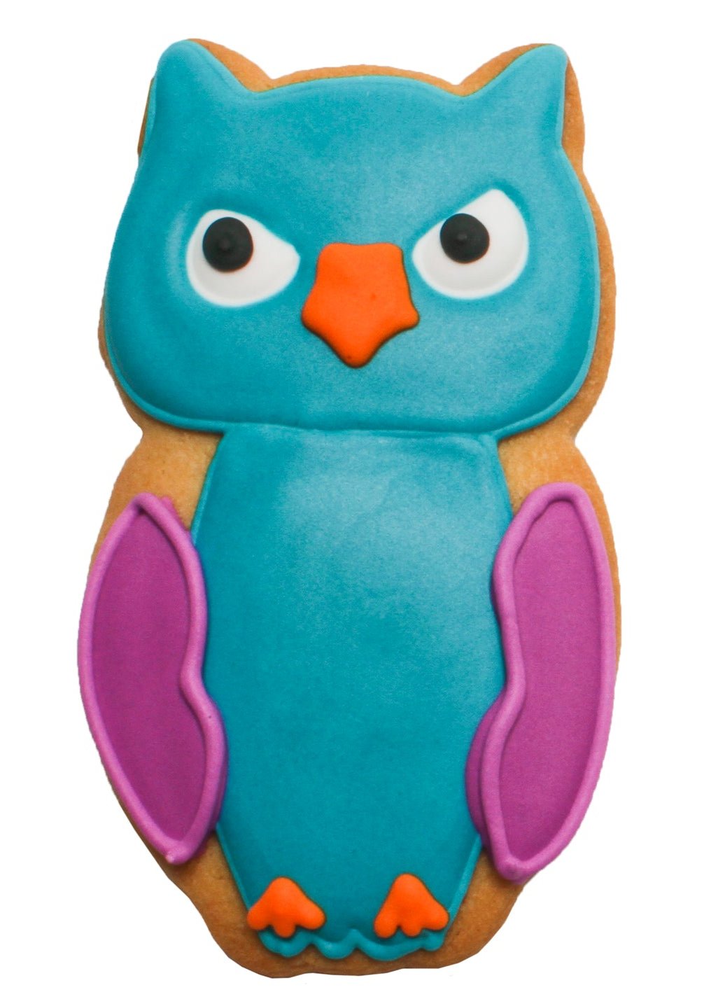 Custom Owl Party Favor Cookie